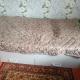 review preview photo № 0