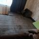review photo № 2