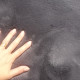 review preview photo № 0